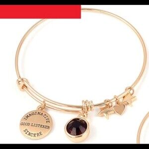 Purple Charm Bangle Bracelet February/Amethyst